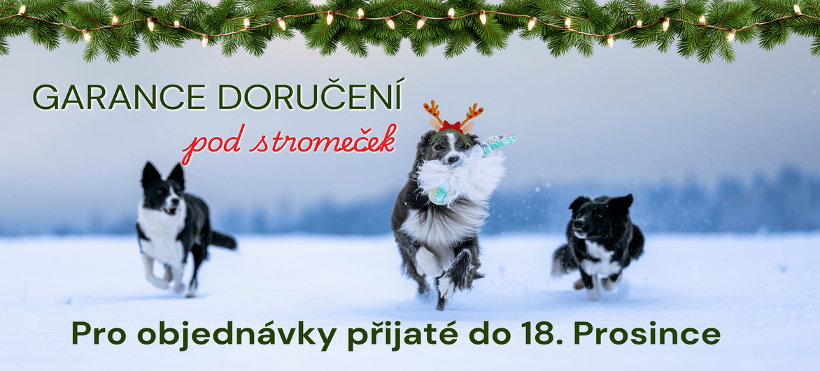 Garance doručení pod stromeček